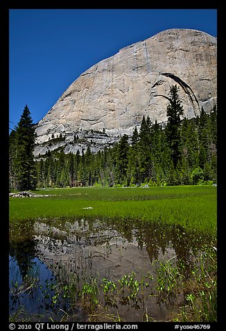 Half-Dome reflected in Lost Lake. Yosemite National Park, California, USA.