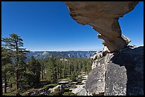 Indian Rock arch and forest, morning. Yosemite National Park, California, USA. (color)