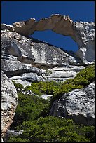 Granite natural arch, Indian Rock. Yosemite National Park, California, USA.