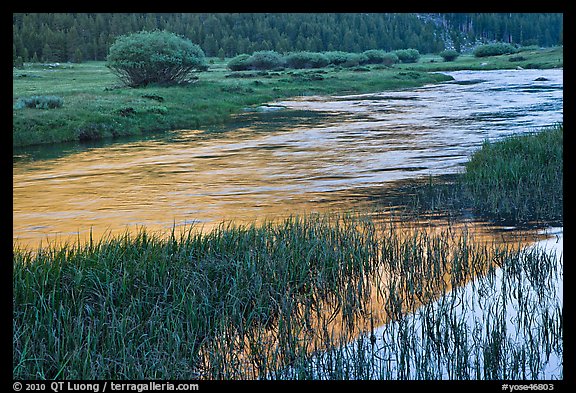 Late afternoon reflections, Lyell Fork of the Tuolumne River. Yosemite National Park (color)
