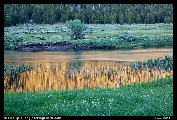 Hills reflected in stream, Lyell Canyon. Yosemite National Park (color)