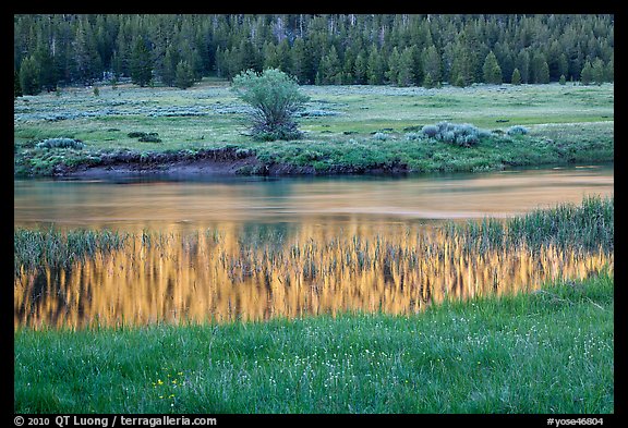 Hills reflected in stream, Lyell Canyon. Yosemite National Park, California, USA.