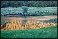 Hills reflected in stream, Lyell Canyon. Yosemite National Park, California, USA.