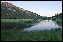 Lyell Canyon and Lyell Fork of the Tuolumne River, sunset. Yosemite National Park, California, USA.