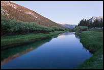 Lyell Canyon at dusk. Yosemite National Park ( color)