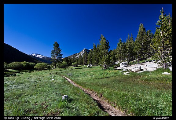 Pacific Crest Trail, Lyell Canyon. Yosemite National Park (color)