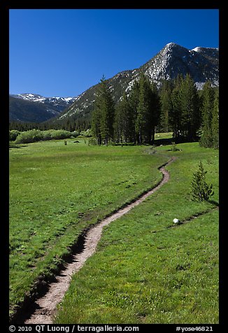 John Muir Trail, Lyell Canyon. Yosemite National Park (color)