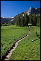 John Muir Trail, Lyell Canyon. Yosemite National Park, California, USA. (color)