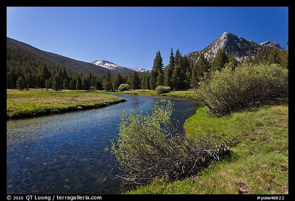 Tuolumne River in Lyell Canyon, morning. Yosemite National Park (color)