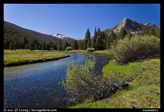 Tuolumne River in Lyell Canyon, morning. Yosemite National Park, California, USA.