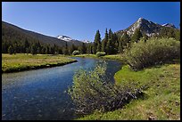 Tuolumne River in Lyell Canyon, morning. Yosemite National Park, California, USA.