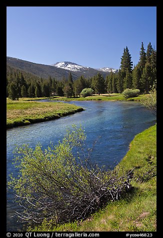 Lyell Fork of the Tuolumne River, morning. Yosemite National Park (color)