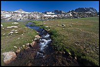 Meadow, stream, and Evelyn Lake. Yosemite National Park, California, USA.