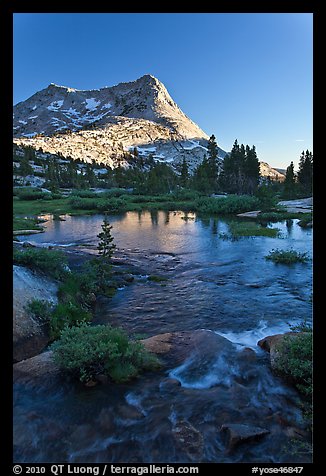 Vogelsang Peak reflected in stream pond. Yosemite National Park, California, USA.