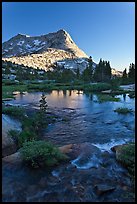 Vogelsang Peak reflected in stream pond. Yosemite National Park, California, USA.