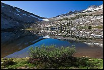 Bush and alpine lake, Vogelsang. Yosemite National Park ( color)