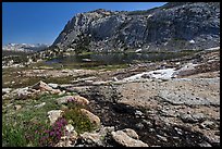 Alpine scenery with flowers, stream, lake, and mountains, Vogelsang. Yosemite National Park, California, USA. (color)