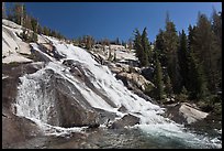 Stream flowing over steep smooth granite, Lewis Creek. Yosemite National Park, California, USA.