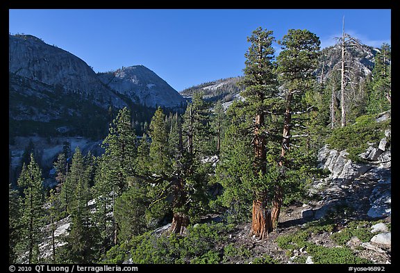 Canyon near Merced Lake. Yosemite National Park, California, USA.