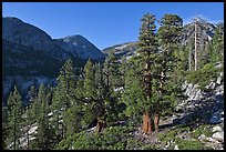 Canyon near Merced Lake. Yosemite National Park, California, USA.