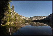 Merced Lake, tall trees, and stars. Yosemite National Park, California, USA.