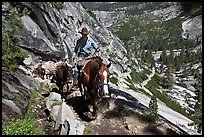 Woman leading horse pack train on trail, Upper Merced River Canyon. Yosemite National Park, California, USA.