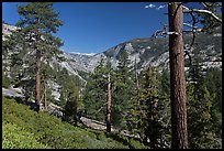 Above Echo Creek. Yosemite National Park, California, USA. (color)