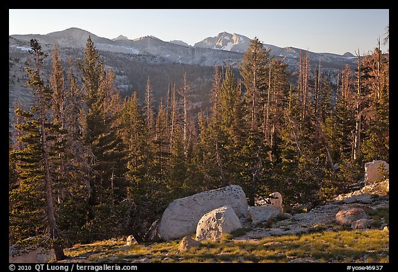 Sunrise over forest and peaks. Yosemite National Park (color)