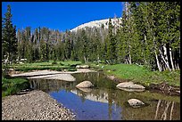 Stream in Long Meadow. Yosemite National Park ( color)
