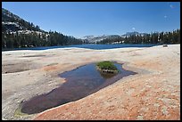 Colorful slab, pothole, and lower Cathedral Lake. Yosemite National Park, California, USA. (color)