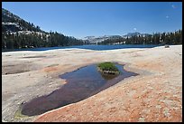 Colorful slab, pothole, and lower Cathedral Lake. Yosemite National Park, California, USA.