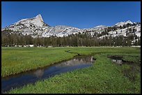 Meadow, stream, Cathedral range. Yosemite National Park, California, USA. (color)