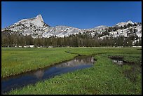 Meadow, stream, Cathedral range. Yosemite National Park, California, USA.