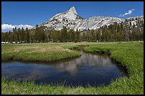 Cathedral Peak reflected in meandering stream. Yosemite National Park, California, USA.