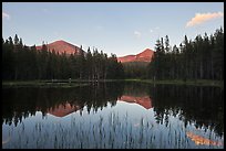 Mt Dana and Mt Gibbs reflected in tarn at sunset. Yosemite National Park, California, USA. (color)