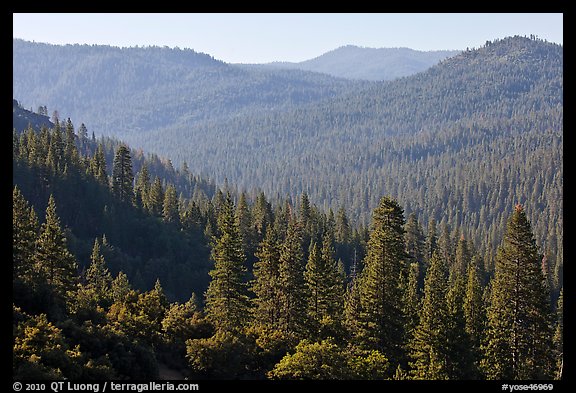 Hills covered in forest, Wawona. Yosemite National Park (color)