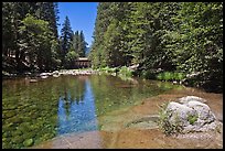 Wawona covered bridge and river. Yosemite National Park, California, USA. (color)