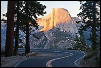 Half-Dome seen from road near Washburn Point. Yosemite National Park ( color)