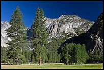 Ahwanhee Meadow, summer. Yosemite National Park, California, USA.