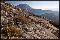 Rock slabs and flowers above Upper McCabe Lake. Yosemite National Park ( color)