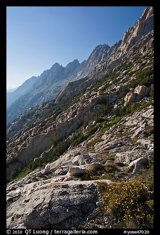 Shepherd Crest, late afternoon. Yosemite National Park (color)