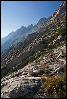 Shepherd Crest, late afternoon. Yosemite National Park, California, USA.