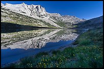 Flowers, Sheep Peak reflected in Roosevelt Lake. Yosemite National Park, California, USA. (color)