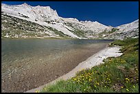 Sierra lakeshore with flowers and reflected mountain. Yosemite National Park, California, USA.