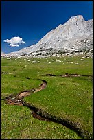 Alpine meadows, meandering stream, and Mount Conness. Yosemite National Park, California, USA.