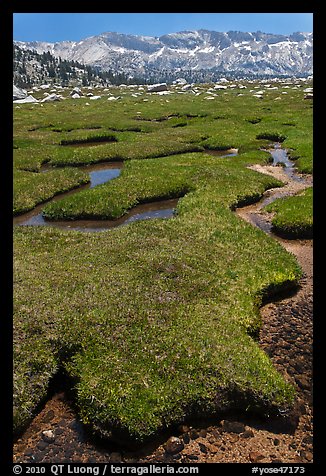 Meandering stream, meadow, and distant mountains. Yosemite National Park (color)