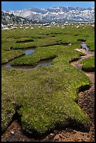 Meandering stream, meadow, and distant mountains. Yosemite National Park, California, USA.