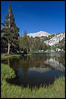 Middle Young Lake, afternoon. Yosemite National Park ( color)