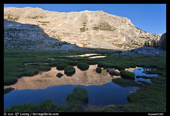 White mountain crest reflected in tarns. Yosemite National Park, California, USA.