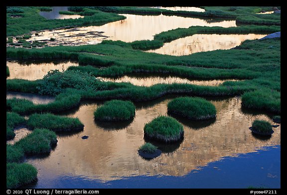 Tarns and reflection of mountain, late afternoon. Yosemite National Park (color)